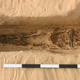 The remains of an ancient Egyptian, with head cone.